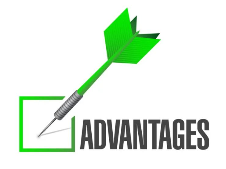 advantages of master franchising