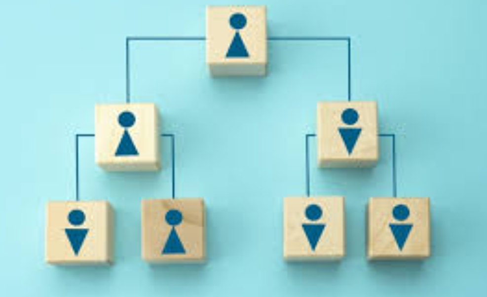 management structure