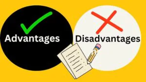 advantages and disadvantages of franchising
