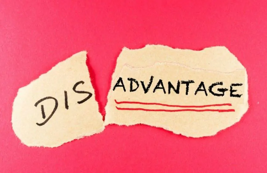 disadvantages of master franchising